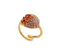 Anello Isola Bella Donna in Argento 20001216
